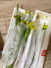 壽光新鮮長(zhǎng)絲瓜蔬菜綠皮現(xiàn)摘農(nóng)家自種綠色蔬菜應(yīng)季山東現(xiàn)發(fā)鮮嫩 新鮮絲瓜 5斤 凈重 曬單實(shí)拍圖