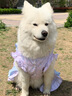 狗狗衣服大型犬寵物春夏公主大中型犬綁帶網(wǎng)紗裙寵物狗狗貓咪衣服 寵物小禮品一個(gè) 8XL胸100背70約56-80斤 曬單實(shí)拍圖