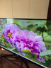 康佳（KONKA）31.5英寸 高清HDMI 微邊框顯示器 HDR 出廠(chǎng)校色 支持壁掛 家用辦公游戲電腦屏幕 KM3219 曬單實(shí)拍圖