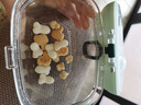 英氏（Engnice）嬰幼兒泡芙牛奶味 寶寶嬰兒零食 小魚泡芙條兒童零食罐裝36g 曬單實拍圖