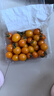 京喜加夏日陽光小番茄黃色迷戀圣女果即食水果小柿子現(xiàn)摘現(xiàn)發(fā)減肥 黃色圣女果三斤裝 曬單實拍圖
