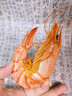 海仙津九節(jié)蝦干即食大蝦干烤蝦干對(duì)蝦干特大斑節(jié)蝦干大烤蝦海產(chǎn)干貨 【大號(hào)款】九節(jié)蝦干250g 35-45只 曬單實(shí)拍圖
