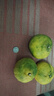 春福樂(lè) 云南青皮蜜桔橘子【現(xiàn)摘現(xiàn)發(fā)】新鮮水果酸甜整箱新鮮孕婦水果 5斤【老樹(shù)果更香甜】?jī)?.5斤 曬單實(shí)拍圖