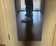 飛躍官方男鞋帆布鞋男2025秋季新款百搭休閑鞋子男 白紅藍 38 曬單實(shí)拍圖