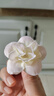 璇洛臻品小花朵混搭20朵 絹花仿真花 diy手工簪花頭飾 花環(huán)包花 花墻裝飾 3-10CM大中小隨機混合花20朵 曬單實(shí)拍圖