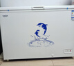 澳柯瑪（AUCMA）308升低霜臥式商用家用冰柜 商用大容量冷藏柜大冷凍柜 家用冰箱雪糕柜大冷柜一級能效以舊換新 BC/BD-308HNE【京倉發(fā)貨】 308L 曬單實拍圖