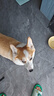 伯納天純鴨肉梨狗糧小型犬中大型犬幼犬成犬全價(jià)通用犬糧24斤/12kg 曬單實(shí)拍圖