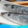 純色本味 冷凍精品俄羅斯秋刀魚(yú)凈重2斤 燒烤食材 生鮮魚(yú)類(lèi) 曬單實(shí)拍圖