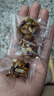 八寶手工切糕新疆特產(chǎn)堅果酥核桃巴旦木無蔗糖健康營養(yǎng)糕點零食品 八寶切糕【80包】 曬單實拍圖