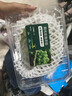 【產(chǎn)地直采】陽(yáng)光玫瑰青提約500g 單果8g+ 曬單實(shí)拍圖
