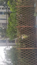 戶(hù)外柵欄伸縮插地圍欄花園護欄立柱圍欄網(wǎng)格爬藤花架戶(hù)外庭院籬笆 插地】刷油加厚高180cm-可拉2.2m 曬單實(shí)拍圖