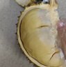 漫生活趕海工具套裝沙灘挖沙玩具鐵鍬鋤頭水桶鏟子夾子耙挖土種菜6件套 曬單實(shí)拍圖