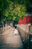 唯卓仕（VILTROX）AF 135mm F1.8 LAB Z尼康口全畫幅自動(dòng)對(duì)焦大光圈遠(yuǎn)攝定焦鏡頭適用于Z5 Z8 Z6II Z7II ZF微單相機(jī) 曬單實(shí)拍圖
