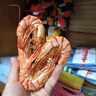 北海印象 特大烤蝦干九節蝦干即食竹節蝦干水產(chǎn)干貨精品對蝦干海鮮 大號500g(250g*2袋約60只7-9cm) 曬單實(shí)拍圖