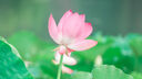 適馬（SIGMA）16-300mm F3.5-6.7 DC OS Contemporary APS-C畫(huà)幅微單相機大變焦鏡頭 索尼E卡口【主圖配件+至高5年保修】 曬單實(shí)拍圖