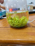君茗若水安吉白茶特級正宗2026新茶明前綠茶奶白茶禮盒茶禮茶禮送禮品長輩 安吉白茶高檔茶葉綠茶禮盒裝300g茶葉高檔禮盒裝 曬單實拍圖
