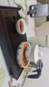 容山堂琺瑯彩泡茶杯陶瓷主人杯單杯茶盞公道杯蓋碗茶洗壺承茶壺功夫茶具 金絲琺瑯壺承+蓋碗套裝 曬單實(shí)拍圖