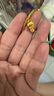曼卡龍黃金吊墜甜甜萌寵派對足金轉(zhuǎn)運珠DIY可愛掛墜串珠 湯匙小貓貓 曬單實拍圖
