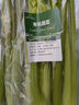 地之源 有機(jī)西芹新鮮生食 榨汁西芹有機(jī)認(rèn)證 新鮮采摘現(xiàn)摘現(xiàn)發(fā)  無農(nóng)殘 2800g 曬單實(shí)拍圖