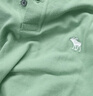 Abercrombie & Fitch【經(jīng)典POLO】小麋鹿圖案男裝25夏季美式通勤短袖T恤 綠色 L (180/108A) 曬單實(shí)拍圖
