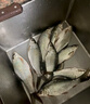 YGK PE JPX24編超強拉力pe線(xiàn)路亞線(xiàn)錨魚(yú)打黑雷強海釣筏釣順滑遠投500米主線(xiàn) 24編【新編織工藝】300米 1【相比普通pe線(xiàn)拉力提升10%】 曬單實(shí)拍圖