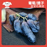 京鮮生 藍(lán)寶石葡萄 金手指無(wú)籽黑提 2-2.5斤裝 生鮮水果 酸甜口感 曬單實(shí)拍圖