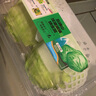 五峰山漢堡玻璃球生菜800g 曬單實(shí)拍圖