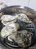燈塔水母【鮮活】乳山生蠔牡蠣6XL號凈重5斤源頭直發(fā) 曬單實(shí)拍圖