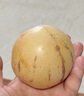 京鮮生 云南石林人參果凈重5斤  單果100g+ 生鮮水果源頭直發(fā)包郵 曬單實(shí)拍圖
