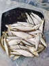 谷蜀香醉魚(yú)藥特效暈魚(yú)i劑魚(yú)用麻醉專(zhuān)用江河野釣魚(yú)清塘魚(yú)藥一塘清醉魚(yú)靈 一瓶裝【強效暈魚(yú)】 曬單實(shí)拍圖