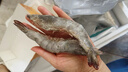 鮮京采 原裝進(jìn)口厄瓜多爾白蝦 凈重3.3斤 大號30-40規格 50-66只/盒 曬單實(shí)拍圖