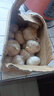 康田匯陜西2025干新鮮感大蒜現(xiàn)挖新蒜紫皮大蒜批發(fā)鮮蒜紅皮蒜干蒜 2.5斤單果4-5CMM凈重2斤 曬單實(shí)拍圖