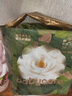 babycare山茶花嬰兒隔尿墊一次性新生兒防水透氣護理墊L碼26片 曬單實拍圖