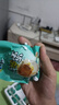 精選咸鴨蛋40/50/60g組合裝飽滿(mǎn)流油新鮮早餐即食咸蛋黃整箱批發(fā) 50g6枚【1分購新人專(zhuān)享價(jià)】 曬單實(shí)拍圖