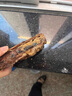 ZEAL新西蘭進口狗狗零食風干小牛尾骨500g磨牙肉干訓練獎勵寵物零食 曬單實拍圖