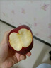 山姆大叔花牛蘋(píng)果甘肅天水蘋(píng)果【閃送】嬰兒蘋(píng)果紅蛇果水果禮盒中秋禮品 【甜度升級】嚴選中大果 | 單果75mm+ 5斤裝【80%選擇-超值推薦】?jì)?.5斤 曬單實(shí)拍圖