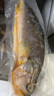 1號會(huì )員店【山姆同廠(chǎng)】冷凍寧德三去大黃魚(yú) 黃花魚(yú) 凈重700g/2條裝 水產(chǎn)魚(yú) 曬單實(shí)拍圖