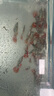 孔雀魚(yú)天使魚(yú) 純種觀(guān)賞魚(yú)淡水好養熱帶小型觀(guān)賞魚(yú) 孔雀魚(yú)24條送備損6條【發(fā)30條】 曬單實(shí)拍圖
