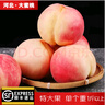 玫梔正宗深州大蜜桃河北馬莊大桃子水蜜桃壽桃高端水果中秋節禮品順豐 深州大蜜桃老樹(shù)果順豐空運 單果1.2斤左右 6個(gè)稀有果王禮盒 曬單實(shí)拍圖