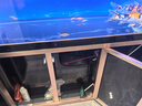 閩江大型家用客廳落地魚(yú)缸水族箱免換水超白玻璃底過(guò)濾辦公室龍魚(yú)缸 黑色 【大師款】180長(cháng)60寬160高+豪華大禮包 曬單實(shí)拍圖