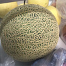 京鮮生蜜蜂授粉牛三蜜瓜網(wǎng)紋瓜  凈重4.5-5斤 2-3粒中秋禮品源頭直發(fā) 曬單實(shí)拍圖