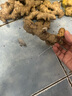京鮮生云南羅平小黃姜帶泥姜新鮮蔬菜生姜特惠1.8斤源頭直發(fā) 曬單實(shí)拍圖