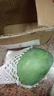 【新鮮上市】正宗攀枝花凱特芒果新鮮水果 帶箱2斤400g+（1-2個(gè)） 曬單實(shí)拍圖