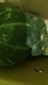 京鮮匠【JD快遞】山東真貝貝南瓜正宗 栗香粉糯小南瓜 新鮮蔬菜源頭直發(fā) JD快遞 精品裝 凈 4.5斤 (4-6個(gè)) 曬單實(shí)拍圖