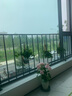 潤眠（Rainmr） 坐墊椅子墊座椅墊辦公室久坐記憶棉餐椅墊座墊學(xué)生四季用墊子 方形-銀灰色 40cm*40cm 曬單實(shí)拍圖