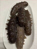 內(nèi)廷上用胖東來即食海參大連特產(chǎn)精品野生刺參極鮮遼參干貨500克獨立包裝 【14-18只/500克】極鮮好口感 胖東來甄選京自東營官方旗艦店 曬單實拍圖
