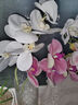 愛(ài)已裝糖 假花仿真花高檔七頭蝴蝶蘭塑料花客廳裝飾花餐桌花干花插花 曬單實(shí)拍圖