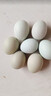 黃六爺山林散養(yǎng)綠殼烏雞蛋新鮮營養(yǎng)孕婦月子雞蛋正宗農(nóng)家散養(yǎng)綠皮土雞蛋 整箱10枚【高山烏雞綠殼蛋】新鮮高營養(yǎng) 曬單實(shí)拍圖
