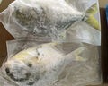 翔泰海南二去金鯧魚(yú)700g/2條  去鰓去內臟燒烤生鮮魚(yú)類(lèi)  海鮮水產(chǎn)中秋 曬單實(shí)拍圖