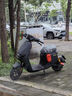 九號（Ninebot）電動新品Fz 110電動自行車9號智能鋰電【門店自提】 到門店選顏色 曬單實拍圖
